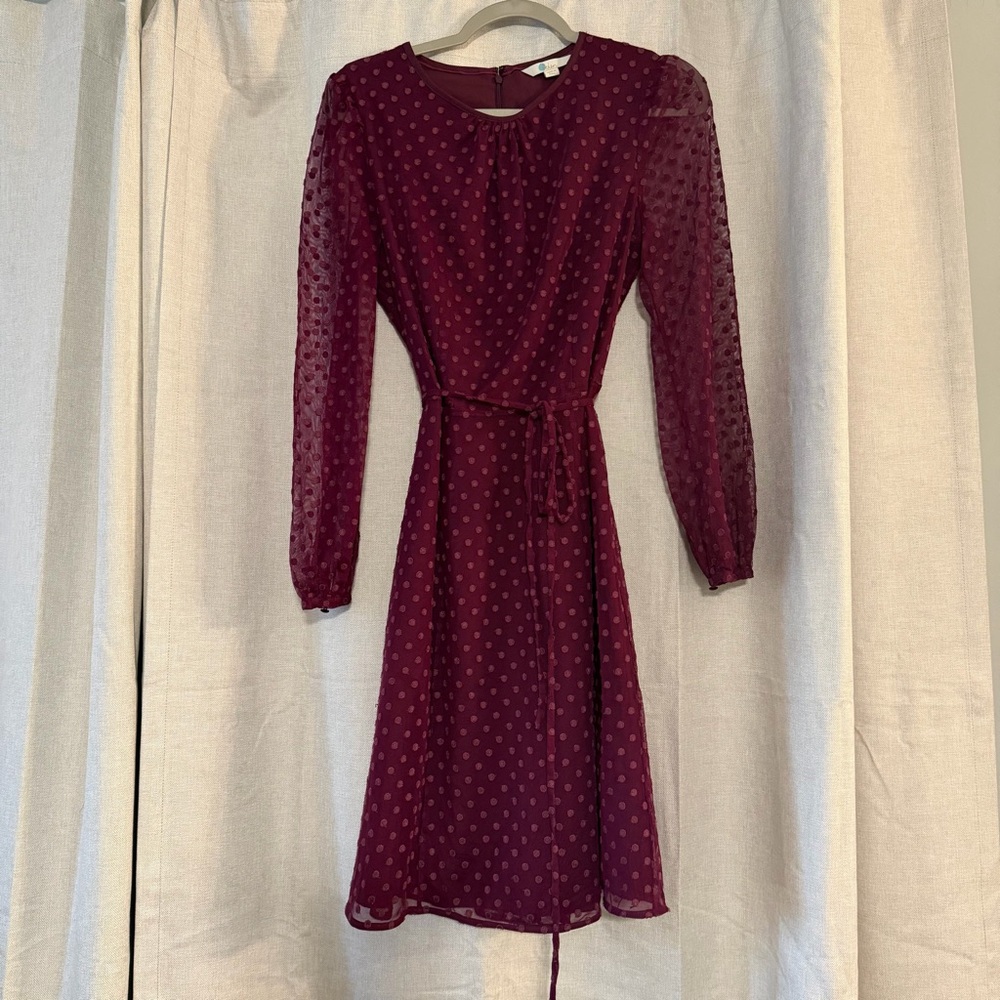 Boden Burgundy Polka Dot Sheer Long Sleeve Dress